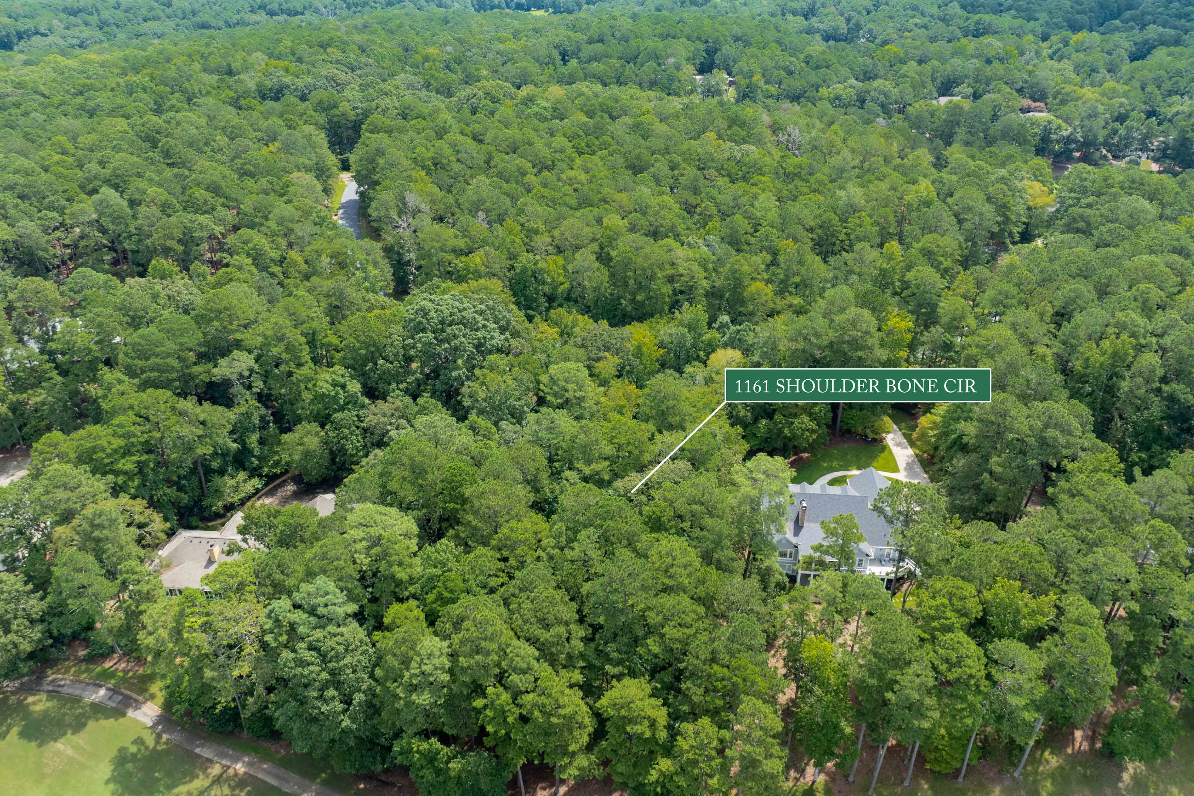 1161 Shoulder Bone Circle image 13